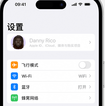 道滘镇appleID维修服务iPhone设置中Apple ID显示为灰色无法使用 