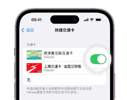 道滘镇apple维修点分享iPhone上更换Apple Pay快捷交通卡手绘卡面 