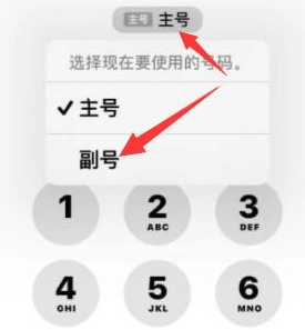 道滘镇苹果14维修店分享iPhone 14 Pro Max使用副卡打电话的方法 