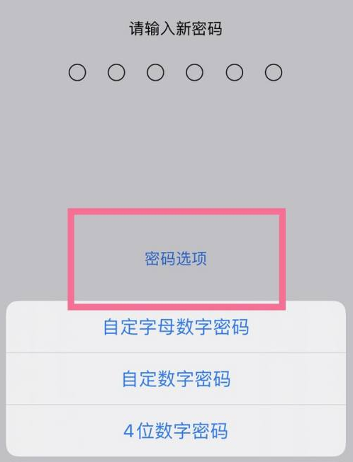 道滘镇苹果14维修分享iPhone 14plus设置密码的方法 