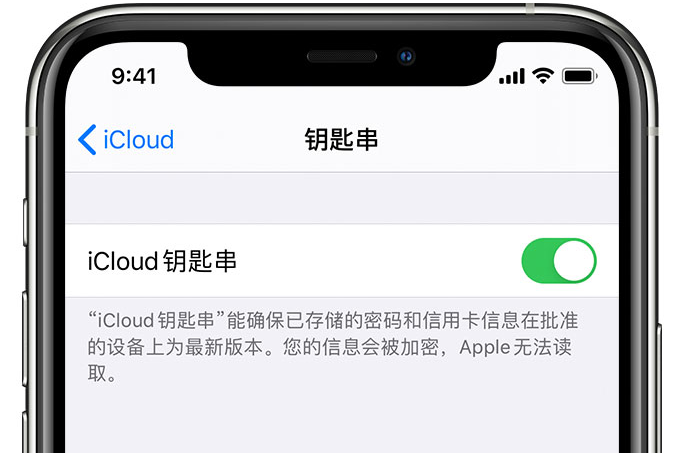 道滘镇苹果手机维修分享在 iPhone 上开启 iCloud 钥匙串之后会储存哪些信息 