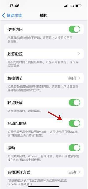 道滘镇苹果手机维修分享iPhone手机如何设置摇一摇删除文字 